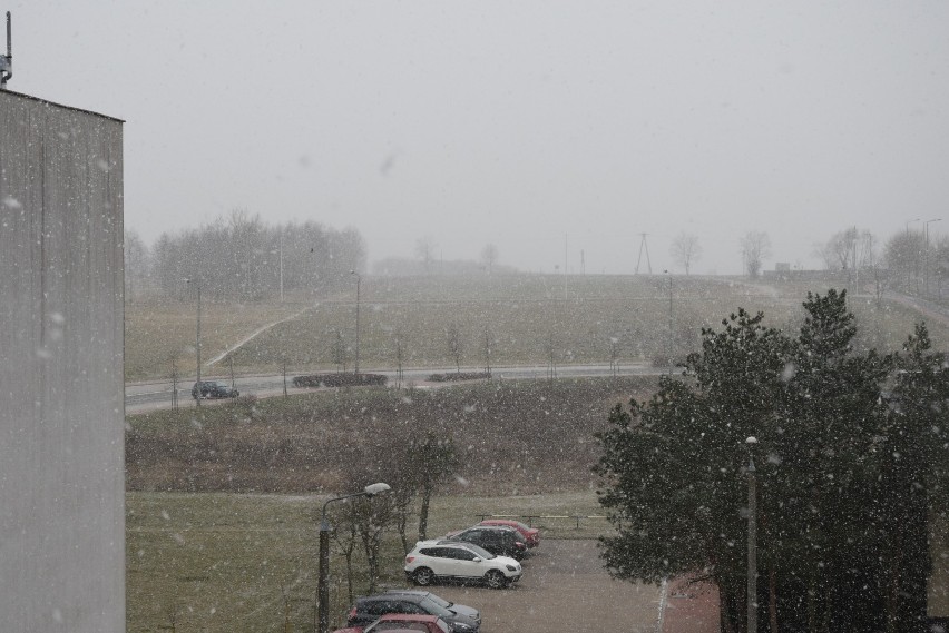 W Wieluniu wietrznie, spadł też śnieg. Jaka pogoda czeka nas w najbliższe dni