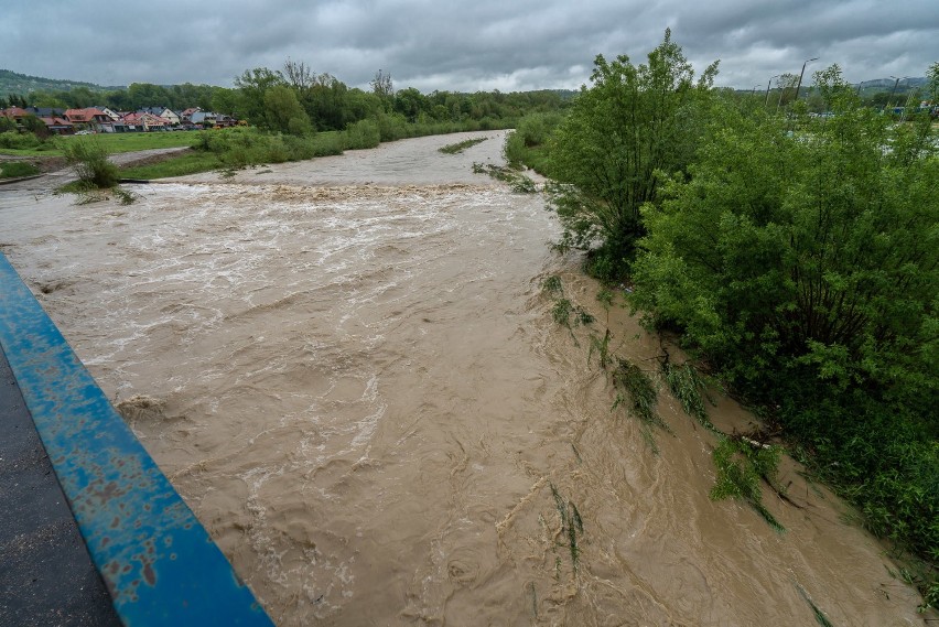 Nowy Sącz. Tak wyglądają Kamienica, Łubinka i Dunajec [ZDJĘCIA]