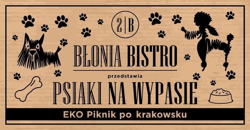 Pieski na wypasie – ekopiknik, Błonia Bistro, al. 3 maja 55,...