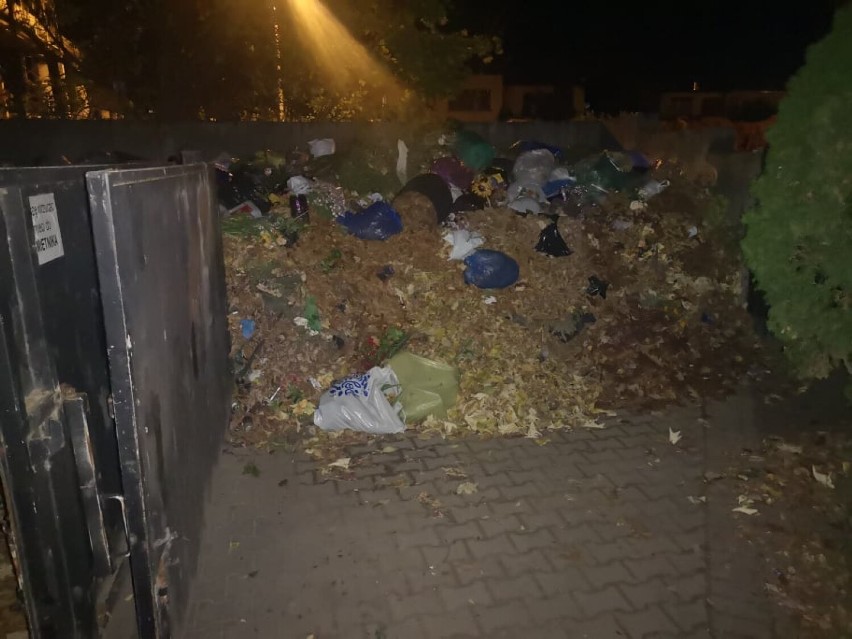 Wolsztyn. Kontenera na śmieci na razie nie będzie [FOTO]