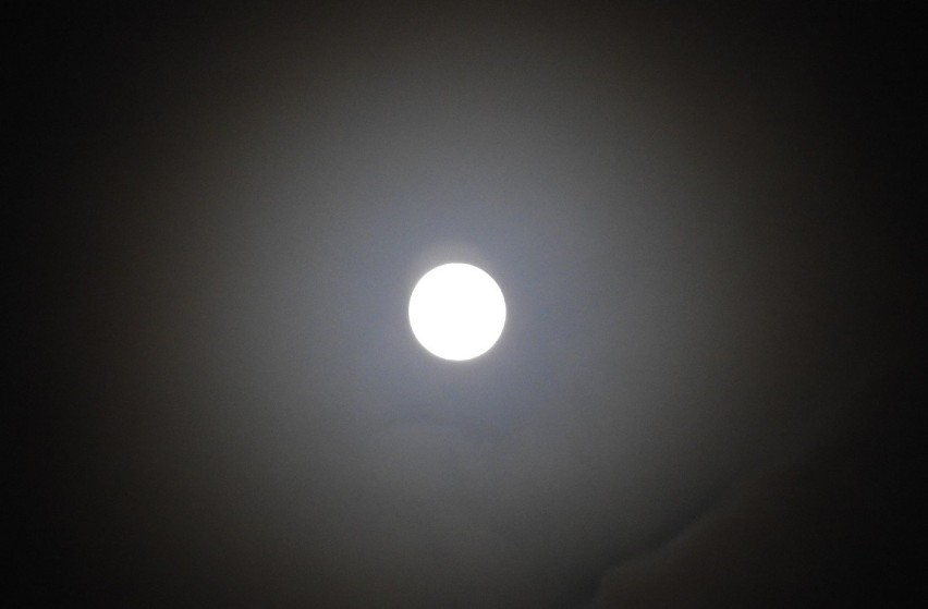 Tak wyglądał Księżyc w nocy z 12 na 13 grudnia 2019 r.