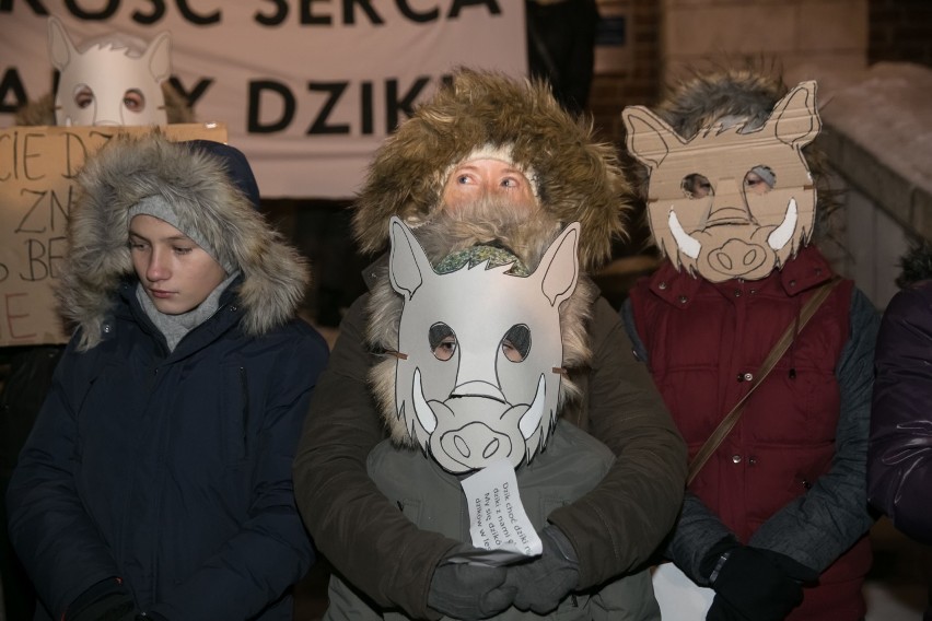 Dziki protest w obronie dzików w Krakowie. "Dzik czuje, tak...