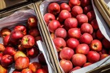 Co zrobić z nadmiarem jabłek? Przepis na ocet jabłkowy z obierek lub całych owoców. Wykorzystaj resztki, nie wyrzucaj