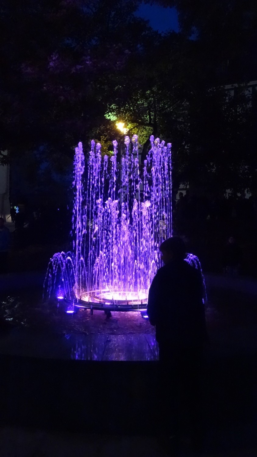 Grające fontanny na Placu Wielkopolskim [ZDJĘCIA]