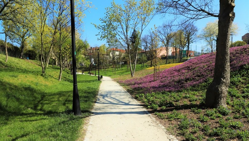 Park Staromiejski w Brzegu, otwarty jesienią ubiegłego roku,...