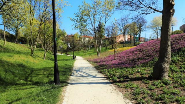 Park Staromiejski w Brzegu, otwarty jesienią ubiegłego roku, zachwyca budzącą się do życia przyrodą. Tereny parku przybrały różne barwy - od zielonej, przez żółtą aż po fiolet. - Od 20 kwietnia można ponownie korzystać z parków miejskich, więc zachęcamy do korzystaniu z uroków tego miejsca - mówią brzescy urzędnicy.