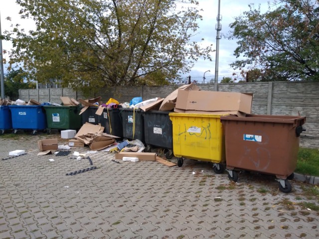 Ktoś w Świebodzinie, przy ulicy Sulechowskiej 4, przepełnił kontenery swoimi śmieciami.