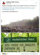 Inicjatywa Dzikie Karpaty opublikowała fakenewsa. Internauci hejtowali Nadleśnictwo Narol nazywając je Zwyrol