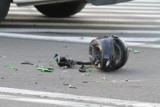 Tajemniczy wypadek w centrum Poznania. Zginął motocyklista. Internauci: Policja nie szuka sprawcy. A jak było naprawdę?