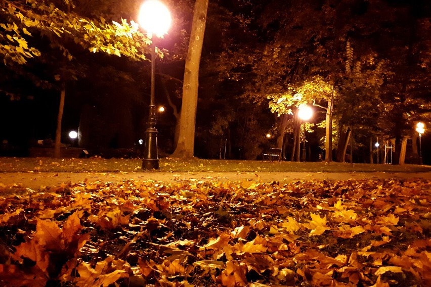 Park Miejski w jesienny wieczór. Zobaczcie zdjęcia naszego fotoreportera