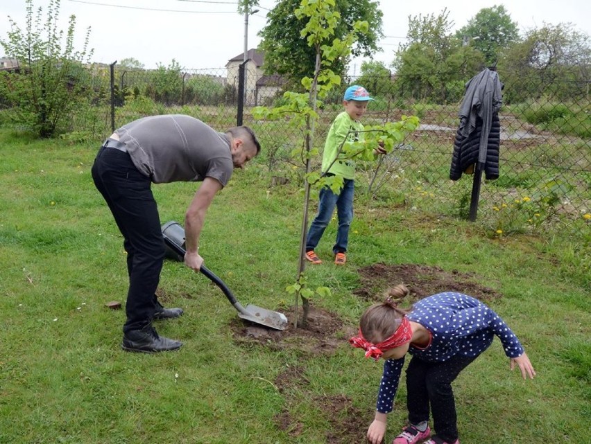 Skwer ojców w Jastrzębiu: posadzili drzewa dla dzieci