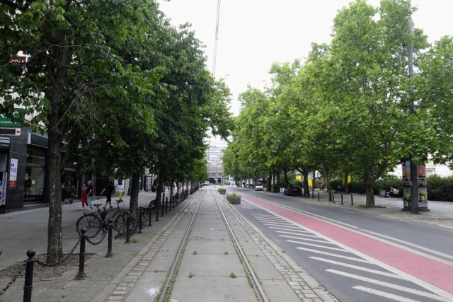 Czy drzewa na ul. 27 Grudnia w Poznaniu zostaną uchronione przed wycinką?