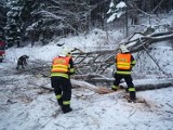 Czesi walczą ze skutkami intensywnych opadów śniegu. U nas nieco spokojniej