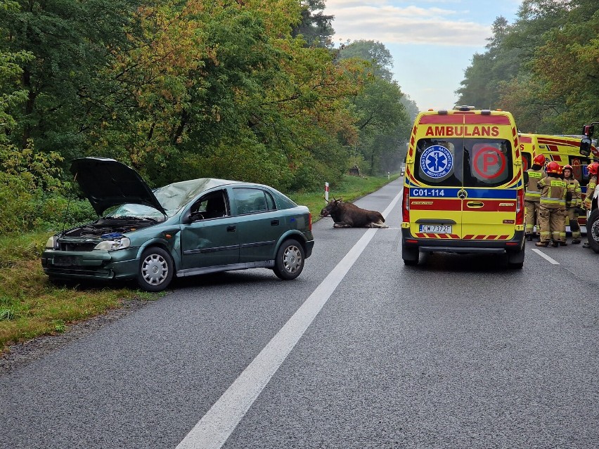 Wypadek na DK 91 pod Włocławkiem