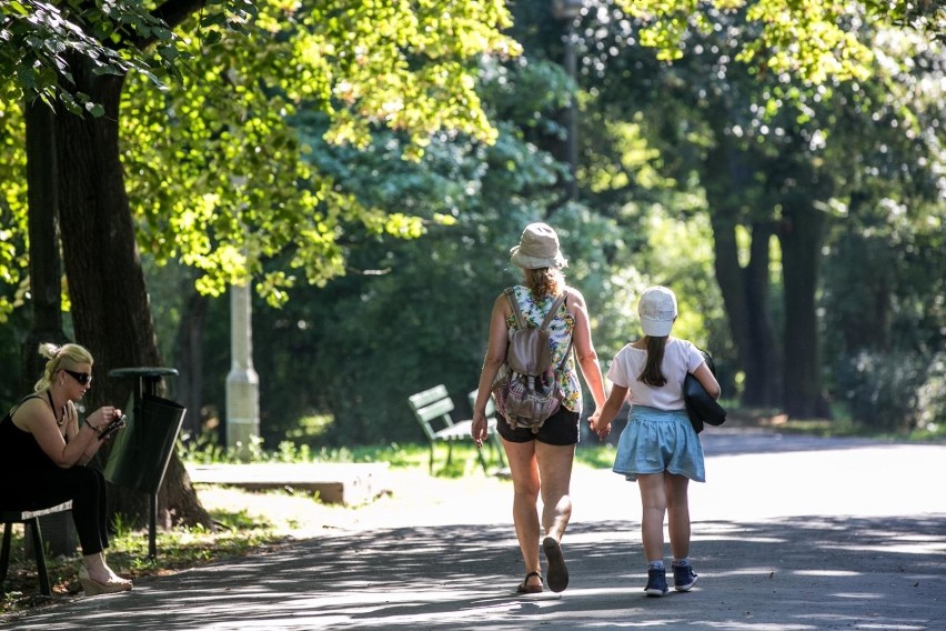 Nowe Planty Podgórskie – zagospodarowanie terenów pod park w...