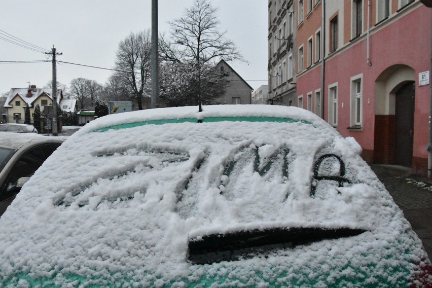 Spadł pierwszy śnieg tej zimy w Legnicy