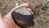 Meteoryt spadł w Wielkopolsce! Potwierdziły to badania naukowców