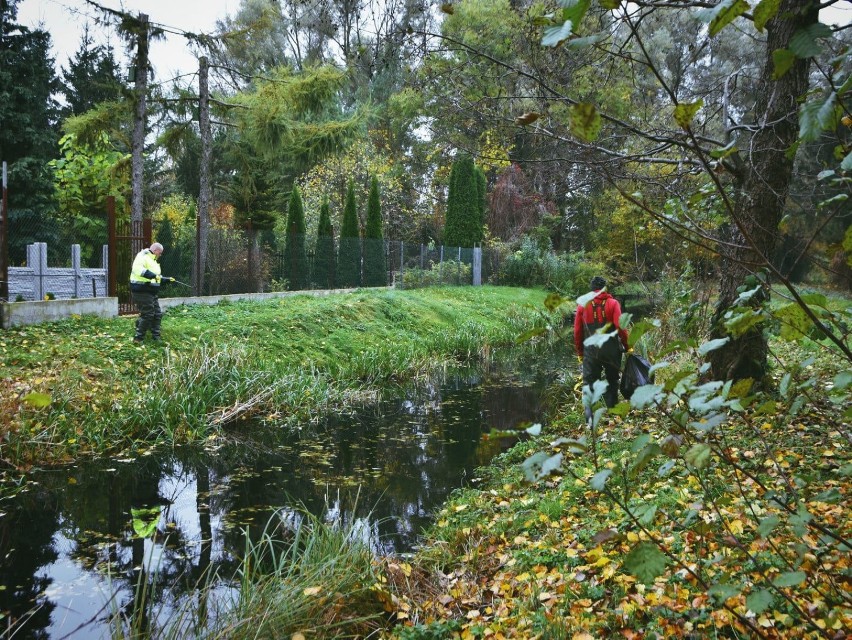 Ośrodek Sportu i Rekreacji w Suwałkach zamknięty więc pracownicy sprzątają koryto rzeki i pielęgnują zieleń [Zdjęcia]