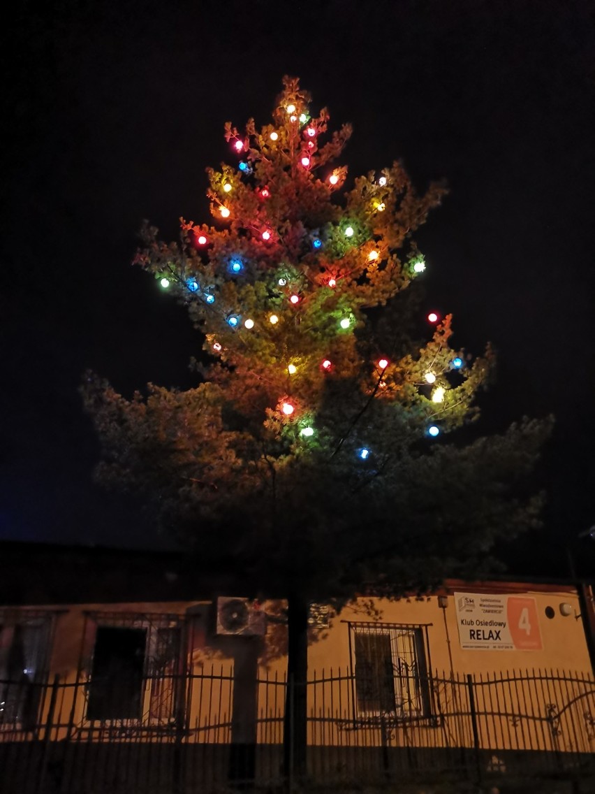 Świąteczne iluminacje w Zawierciu. Choinka jest już na placu przy fontannie FOTO