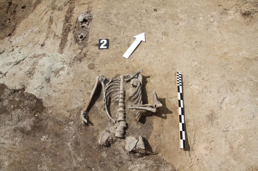 Niezwykłe odkrycie archeologów. Znaleziono trzy ciała sprzed...