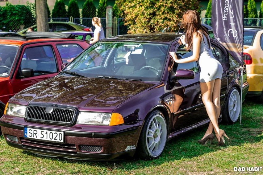 Zabrze: Pro Tuning Show 2015 na Śląskim Rancho [ZDJĘCIA]