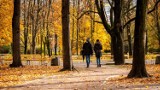Co robić w Polsce jesienią? 28 pomysłów na wycieczki dla całej rodziny, od górskich szlaków po nawiedzone zamki