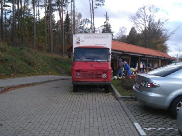 Strażnicy żądają usunięcia wraków z Wejherowa