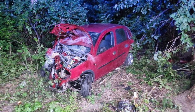 Samochód uderzył w drzewo, a następnie przewrócił się na bok. 38-letni kierowca corsy i jego 15-letnia pasażerka trafili do szpitala. Kierujący pojazdami byli trzeźwi.