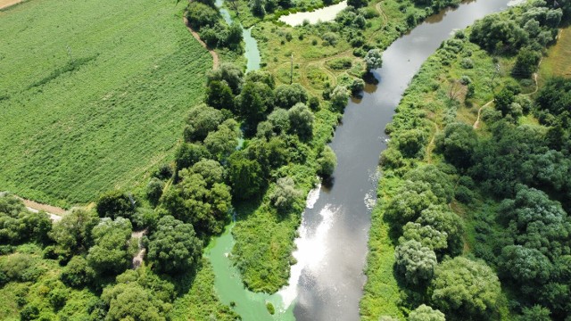 Rzeka Prosna w Kaliszu