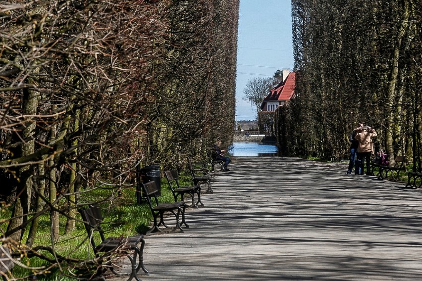 Wiosna w Parku Oliwskim