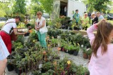 Targi ogrodnicze "Zielone Ogrody nad Odrą" już w maju w Nowej Soli