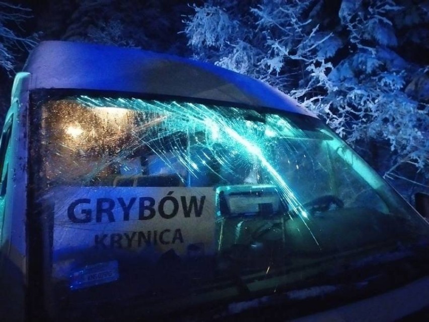 Złamane drzewo przygniotło bus relacji Grybów - Krynica