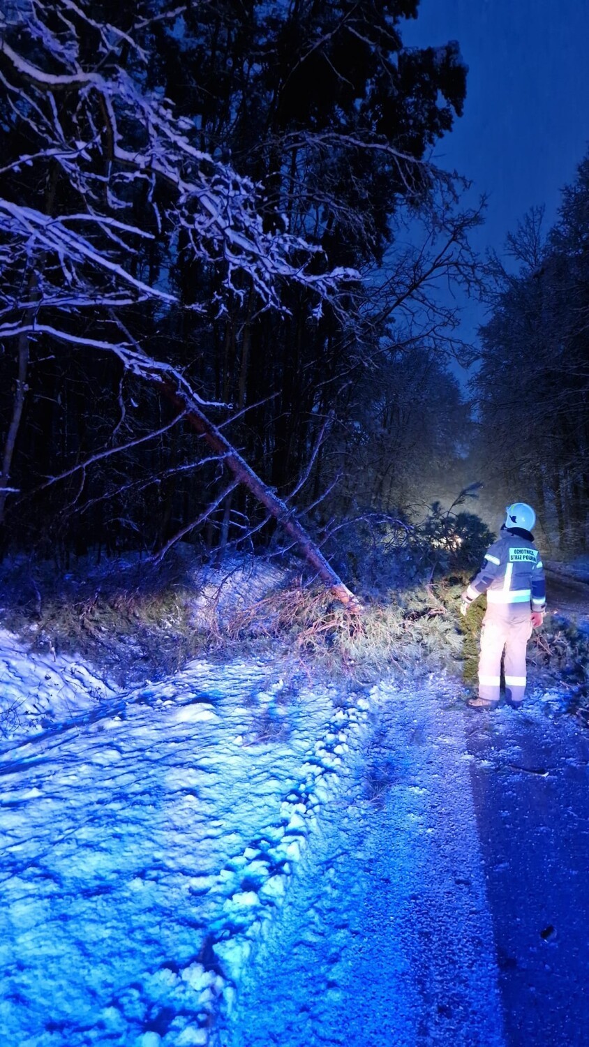 Powalone i połamane drzewa usuwali strażacy z OSP Lubochnia...