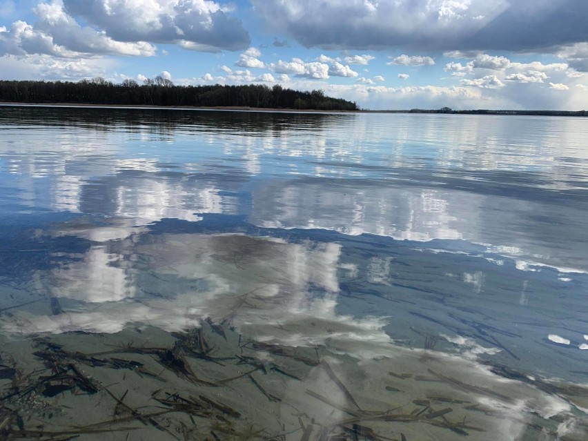 Ostrowo nad jeziorem powidzkim - między lasami sosnowymi, a plażą. Byliście tam kiedyś? [GALERIA]