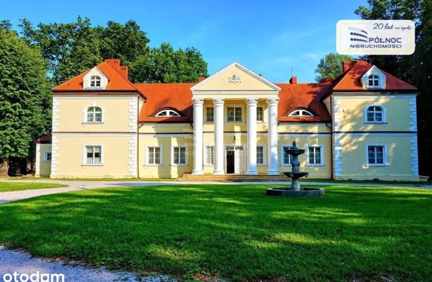 Przepiękny pałac w Radoszewnicy pod Częstochową na sprzedaż. Jego wnętrza robią wrażenie! Ile kosztuje? Zobacz ZDJĘCIA