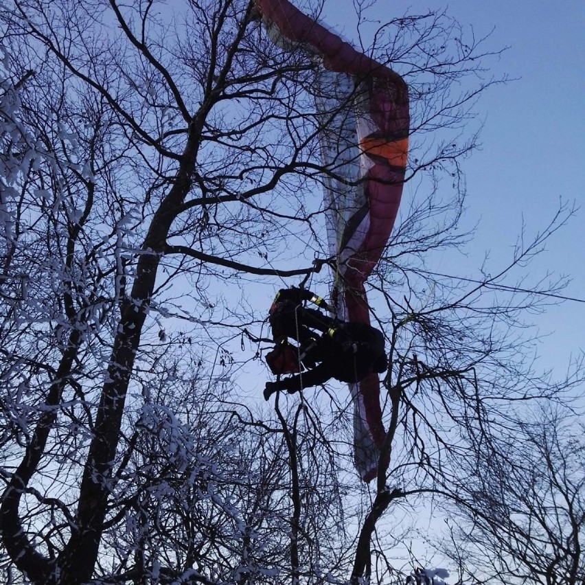 Paralotniarz zawisł na drzewie. Uratowali go strażacy [ZDJĘCIA]