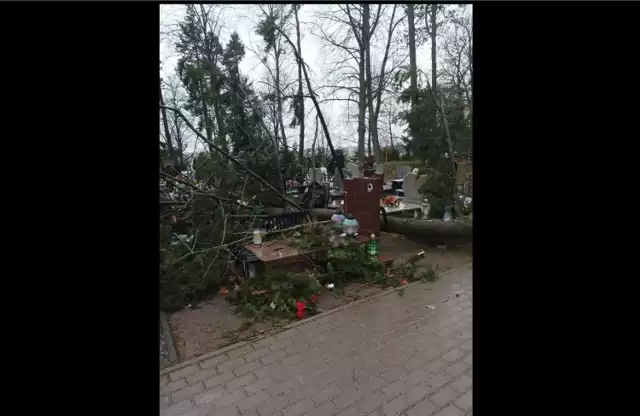 Takie szkody orkan wyrządził na cmentarzu w Szczecinku pod koniec stycznia