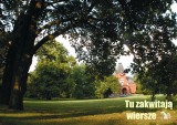 ...zakwitną wiersze