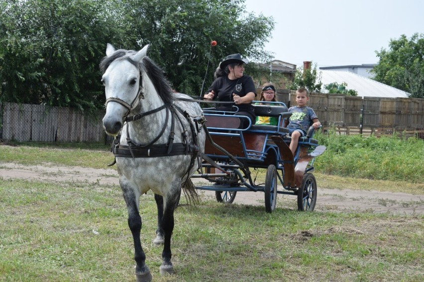 I część. Gmina Zbąszyń: IV Święto Konia w Stefanowie. Parada...