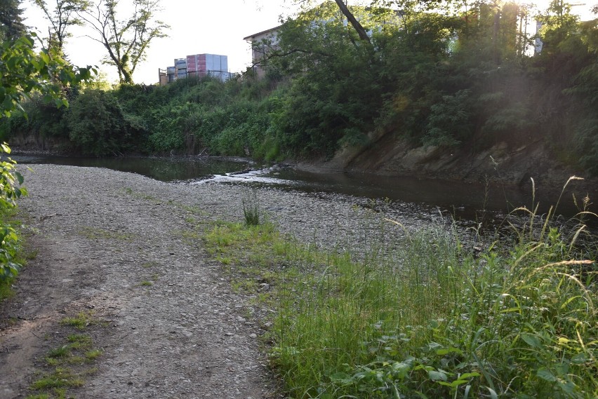 Zakole Sękówki przy ulicy Dolnej - tutaj zimą spotykają się...