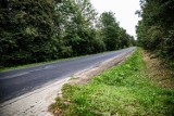 Za 50,4 mln zł będzie remontowana droga Polańczyk - Wołkowyja. Władze wojewódzkie kierują olbrzymie pieniądze na drogi w Bieszczad