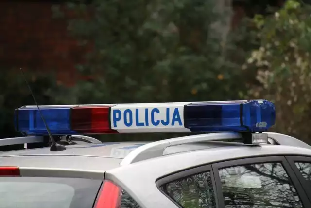 Policja w Chodzieży: Szokujące odkrycie w lesie. Zakopano psa żywcem?