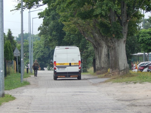 Stare drzewa rosnące na ulicy Polnej w Ustce mają szansę na ocalenie