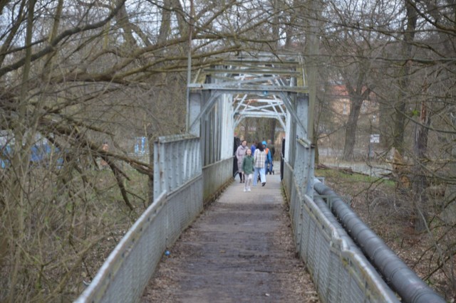 Kolejne drzewo leży na konstrukcji mostu Kolejarzy w Żaganiu. Czy kładka jest bezpieczna?
