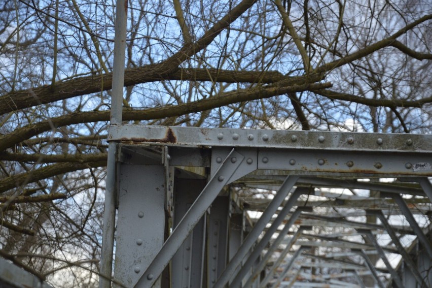Kolejne drzewo leży na konstrukcji mostu Kolejarzy w...