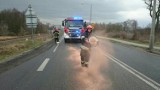 Plama oleju na ulicy Pszczyńskiej w Jastrzębiu-Zdroju. Była naprawdę duża, kierowcy mogli mieć kłopoty