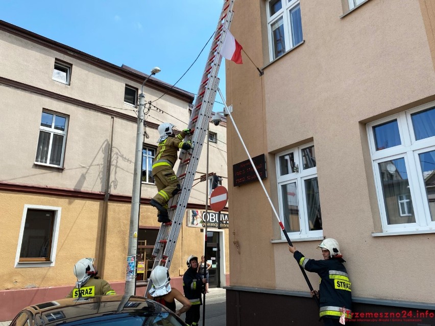 Trzemeszno. Nietypowa akcja strażaków-ochotników. Z dachu urzędu uratowali… jerzyka!