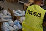 Policja w Kaliszu odzyskała 330 tysięcy kradzionych maseczek ochronnych. ZDJĘCIA