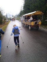 8-latek z Ustronia o kulach dotarł nad Morskie Oko. Mijały go fasiągi z "turystami"