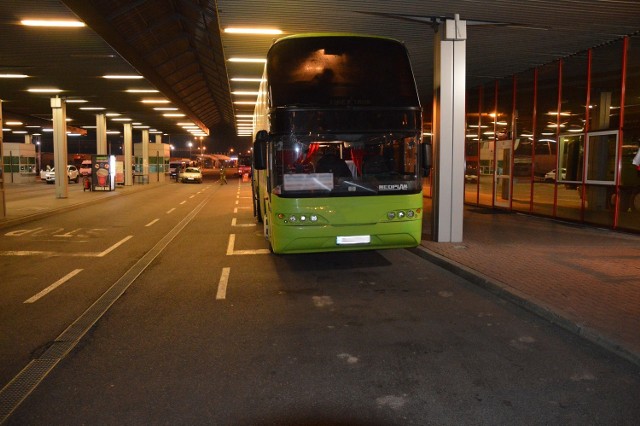 Dorohusk. Pies tropiący odnalazł narkotyki w jednym z autobusów na granicy